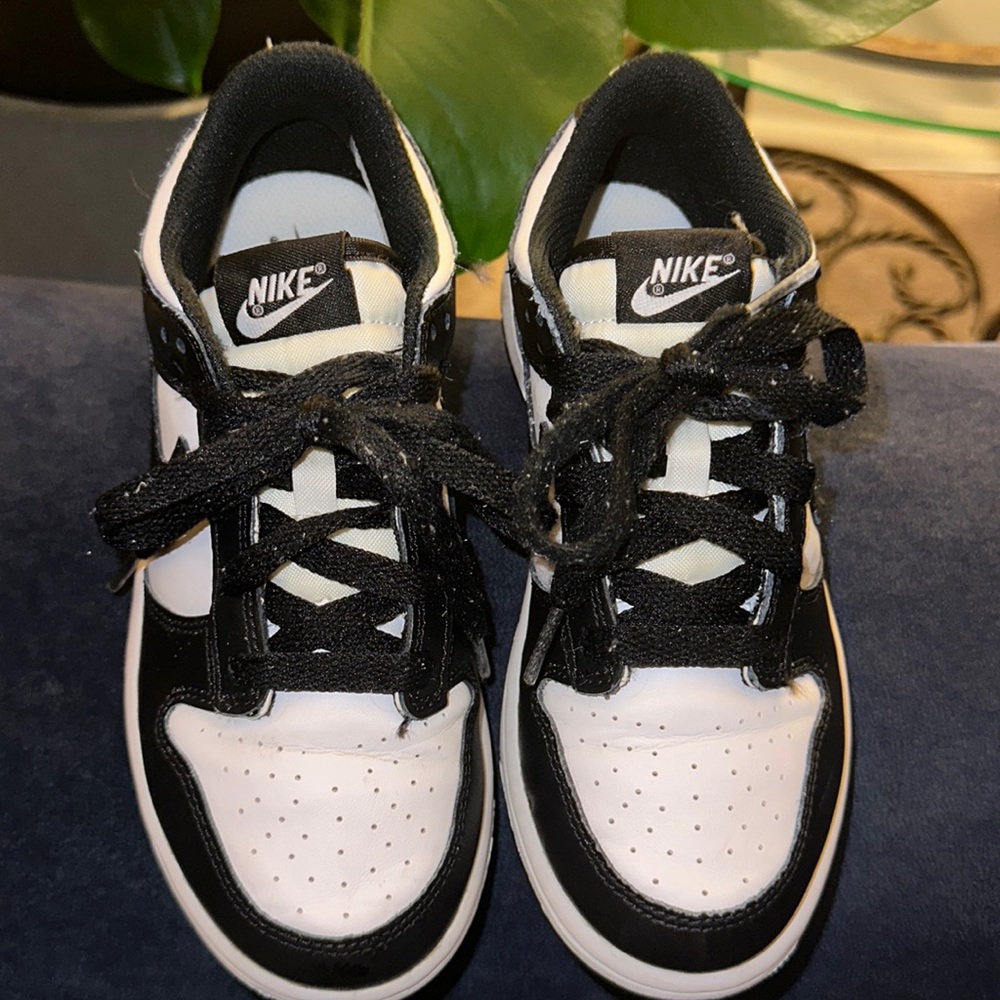 Nike Panda 🐼 Low Dunks